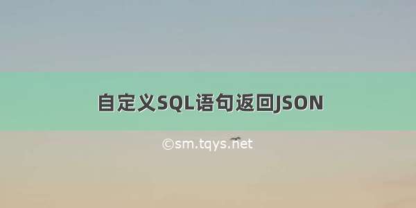 自定义SQL语句返回JSON
