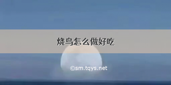 烧鸟怎么做好吃