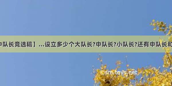 【小学生中队长竞选稿】...设立多少个大队长?中队长?小队长?还有中队长和中队委该怎