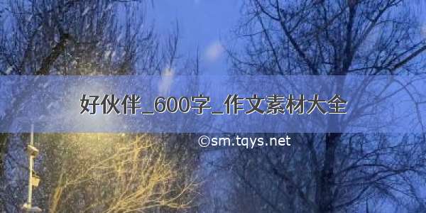 好伙伴_600字_作文素材大全