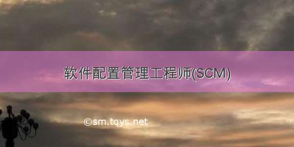 软件配置管理工程师(SCM)