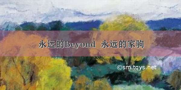 永远的Beyond  永远的家驹