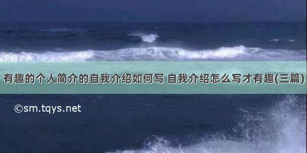 有趣的个人简介的自我介绍如何写 自我介绍怎么写才有趣(三篇)