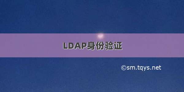 LDAP身份验证