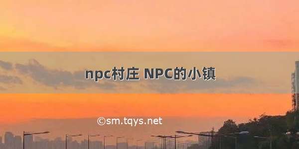 npc村庄 NPC的小镇