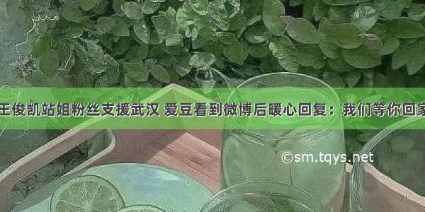 王俊凯站姐粉丝支援武汉 爱豆看到微博后暖心回复：我们等你回家