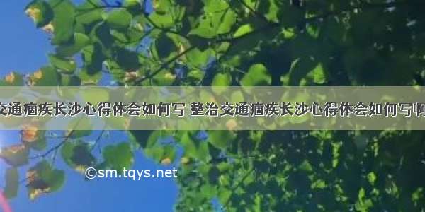 整治交通痼疾长沙心得体会如何写 整治交通痼疾长沙心得体会如何写啊(4篇)