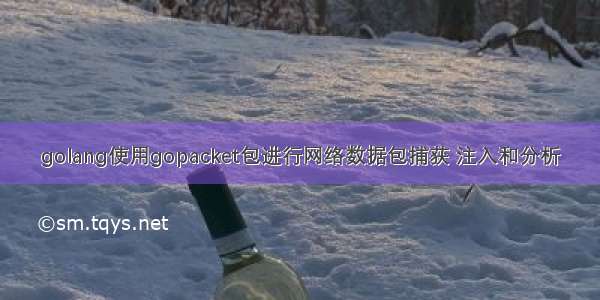 golang使用gopacket包进行网络数据包捕获 注入和分析