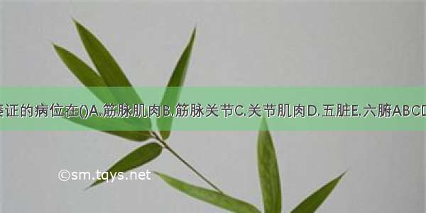 痿证的病位在()A.筋脉肌肉B.筋脉关节C.关节肌肉D.五脏E.六腑ABCDE