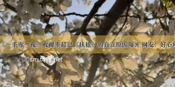 《一千零一夜》收视率超过《扶摇》的真正原因曝光 网友：好心疼