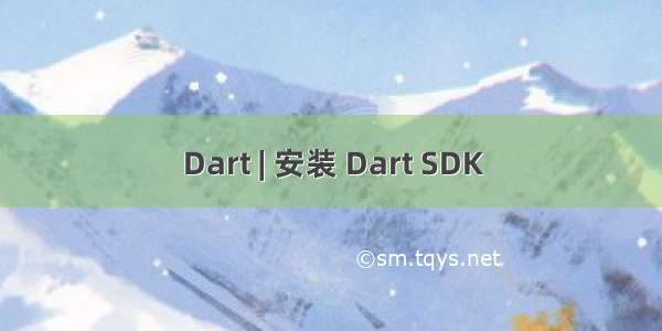 Dart | 安装 Dart SDK