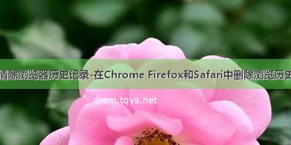 如何清除浏览器历史记录-在Chrome Firefox和Safari中删除浏览历史记录