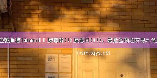 糖尿病患者空腹血糖14mmol／L 尿酮体(+) 尿蛋白(++)。最适合的治疗是A.双胍类降糖药