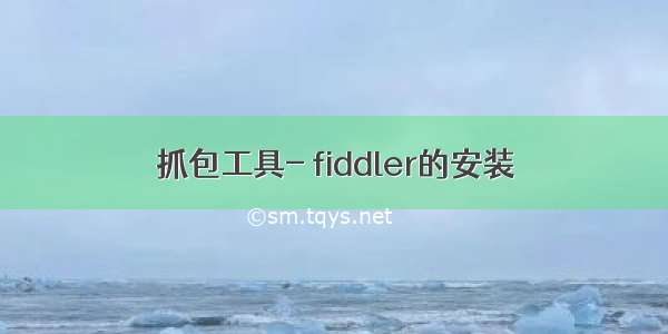 抓包工具- fiddler的安装