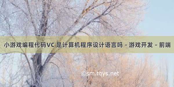 小游戏编程代码VC 是计算机程序设计语言吗 – 游戏开发 – 前端