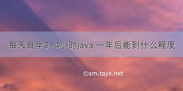 每天自学3~4小时java 一年后能到什么程度