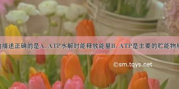 下列对ATP的描述正确的是A. ATP水解时能释放能量B. ATP是主要的贮能物质C. ATP的结