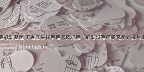 重启好动基因 丁香医生联手迪卡侬打造「好动没毛病研究所」杭州上线