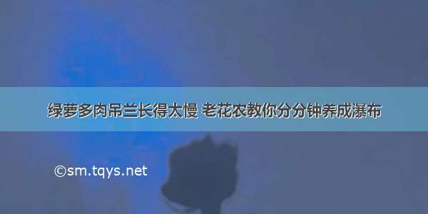 绿萝多肉吊兰长得太慢 老花农教你分分钟养成瀑布