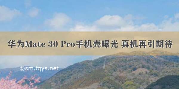 华为Mate 30 Pro手机壳曝光 真机再引期待