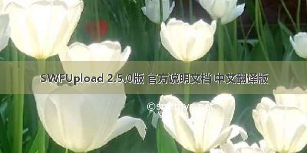 SWFUpload 2.5.0版 官方说明文档 中文翻译版