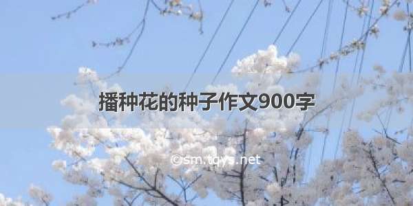 播种花的种子作文900字