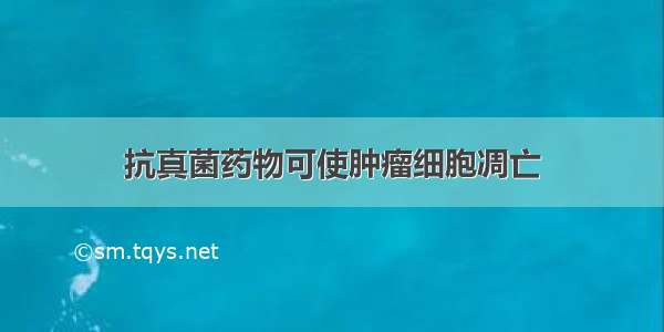 抗真菌药物可使肿瘤细胞凋亡