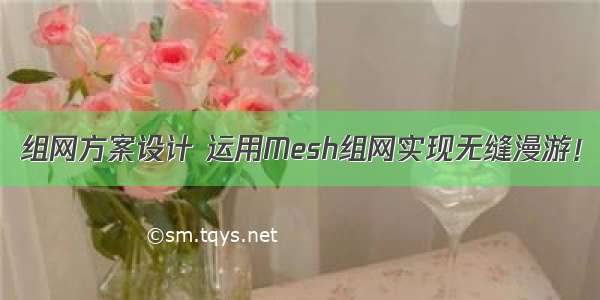 组网方案设计 运用Mesh组网实现无缝漫游！