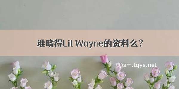 谁晓得Lil Wayne的资料么？