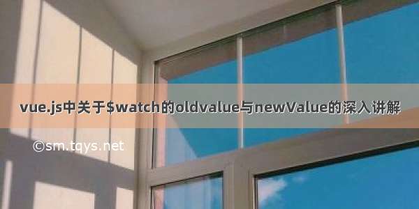 vue.js中关于$watch的oldvalue与newValue的深入讲解