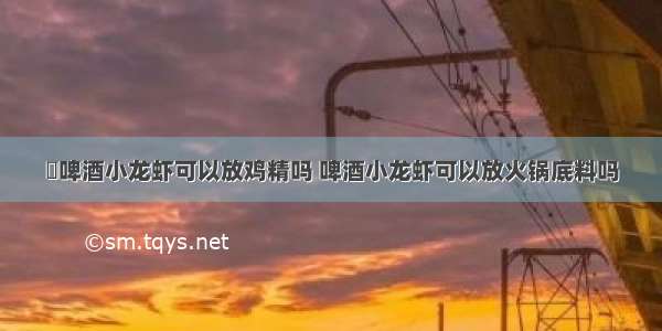 ​啤酒小龙虾可以放鸡精吗 啤酒小龙虾可以放火锅底料吗