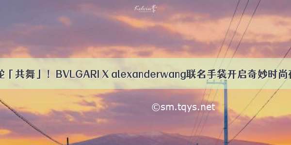 与蛇「共舞」！BVLGARI X alexanderwang联名手袋开启奇妙时尚夜