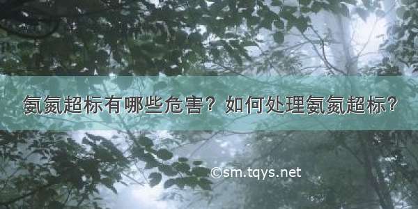 氨氮超标有哪些危害？如何处理氨氮超标？