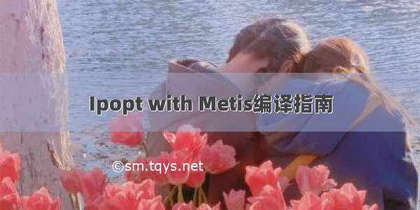 Ipopt with Metis编译指南