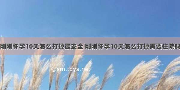 刚刚怀孕10天怎么打掉最安全 刚刚怀孕10天怎么打掉需要住院吗