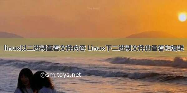 linux以二进制查看文件内容 Linux下二进制文件的查看和编辑
