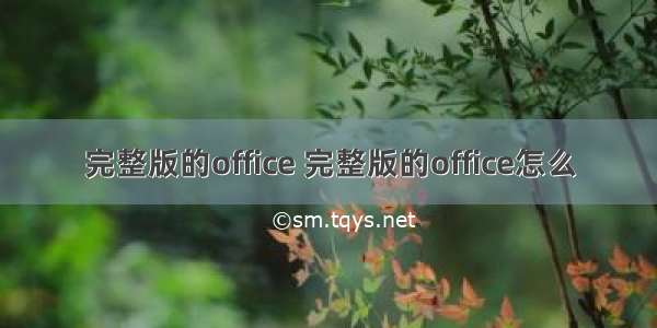 完整版的office 完整版的office怎么