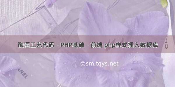 酿酒工艺代码 – PHP基础 – 前端 php样式插入数据库