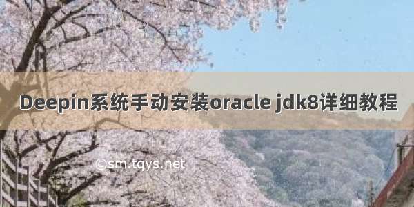 Deepin系统手动安装oracle jdk8详细教程