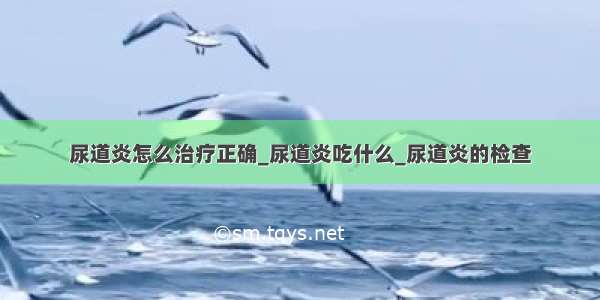 尿道炎怎么治疗正确_尿道炎吃什么_尿道炎的检查