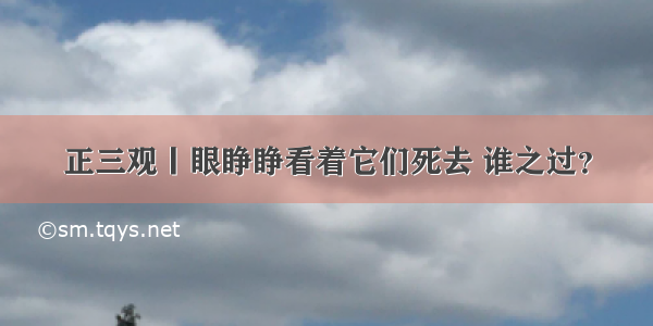 正三观丨眼睁睁看着它们死去 谁之过？