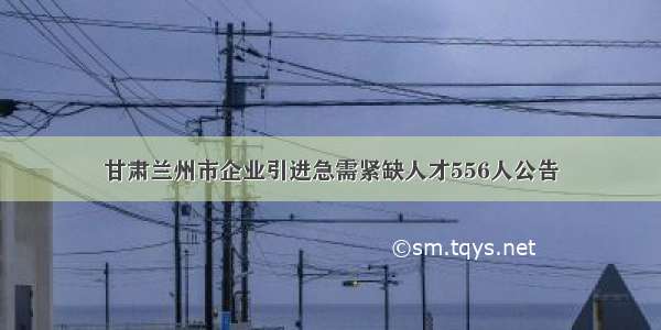 甘肃兰州市企业引进急需紧缺人才556人公告