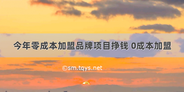 今年零成本加盟品牌项目挣钱 0成本加盟