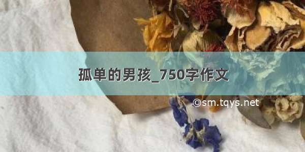 孤单的男孩_750字作文