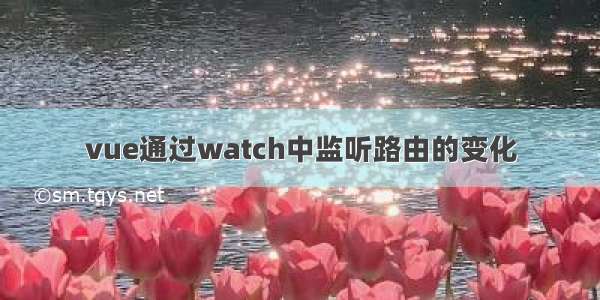 vue通过watch中监听路由的变化