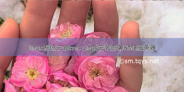 linux系统安装kms Linux安装部署KMS服务器