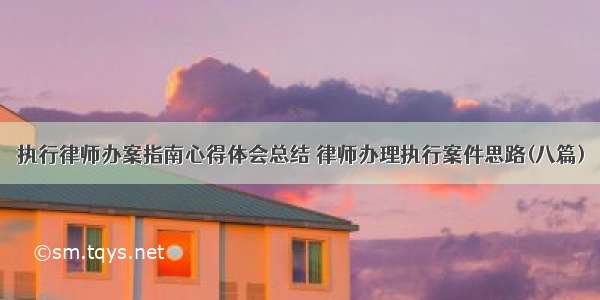 执行律师办案指南心得体会总结 律师办理执行案件思路(八篇)