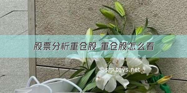 股票分析重仓股 重仓股怎么看