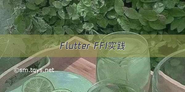 Flutter FFI实践