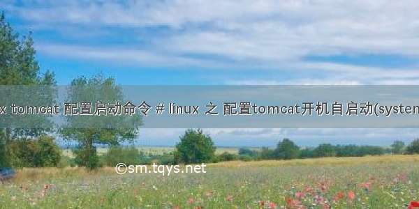 linux tomcat 配置启动命令 # linux 之 配置tomcat开机自启动(systemctl)